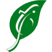 تازه و ارزان